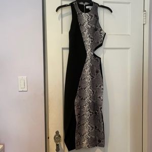 Snakeskin Elizabeth and James Bodycon Dress